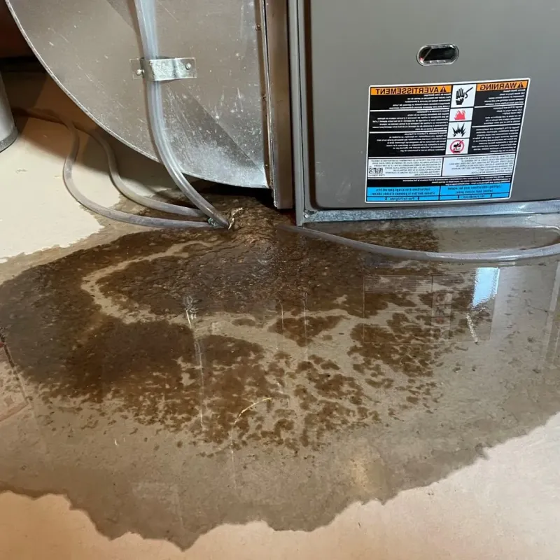 Pipe Burst and Leak Restoration in Lake Monticello, VA